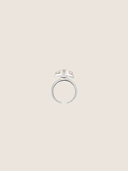 Compass of Memories Ring